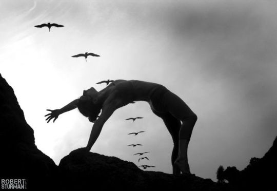 d8ed2e63104b69fd77d083963c7c7239