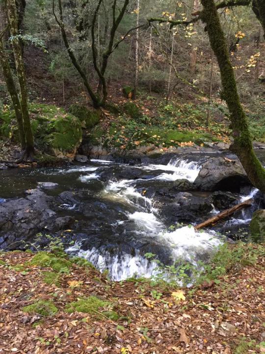 14192518_10211024910316622_2531422532774769202_n