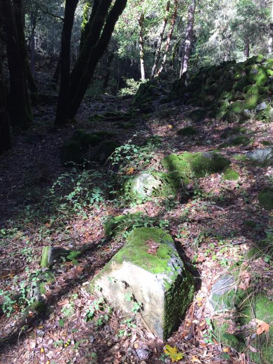 14915630_10211024910076616_7660976248441203953_n