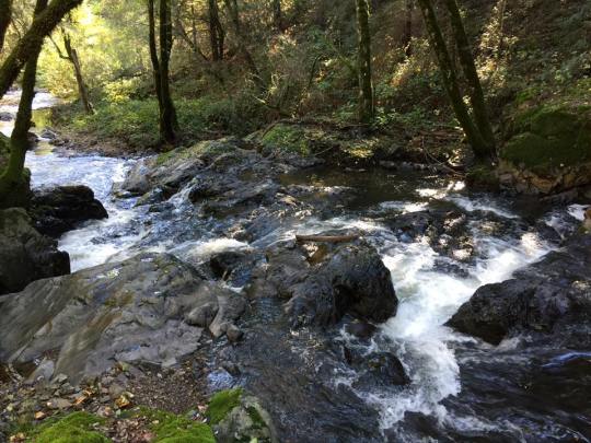 14938159_10211024910396624_7439794073390358778_n