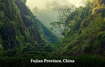 fujian-province-china